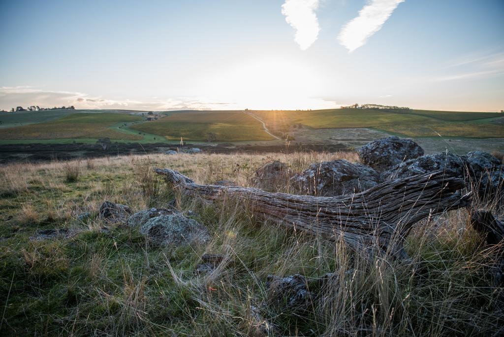 Dragonfly Cottages Ориндж Экстерьер фото